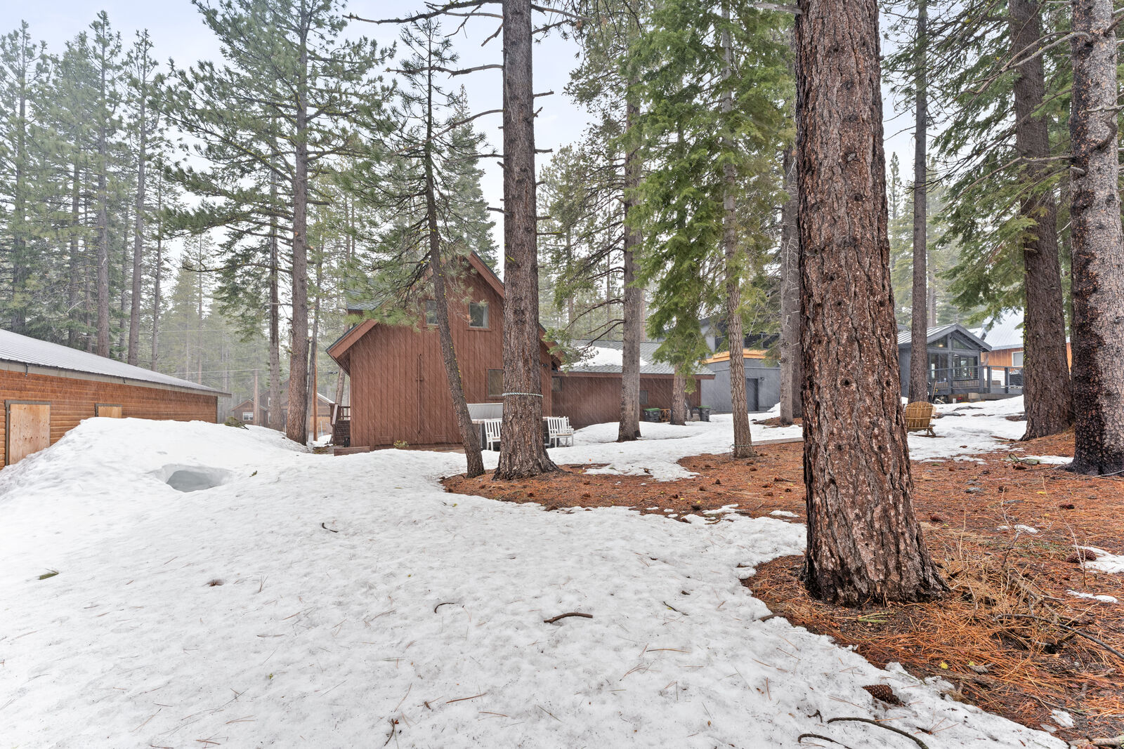 Wooded lot in the Sierra