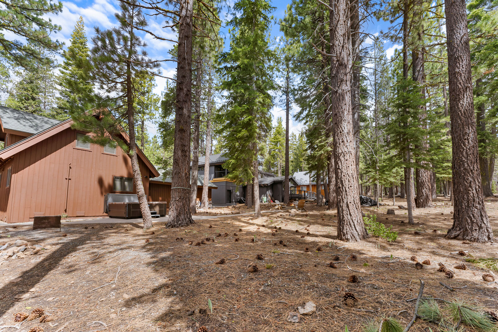 Backyard among the trees